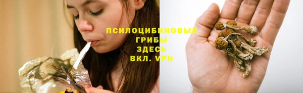 каннабис Зеленокумск