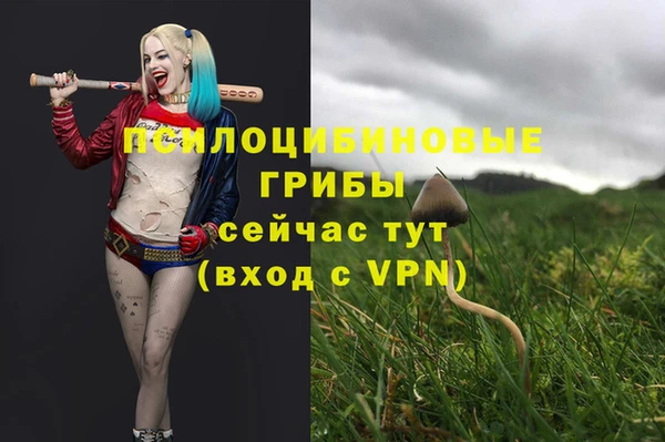 mdma Зерноград