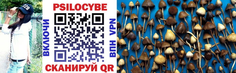 Псилоцибиновые грибы прущие грибы  купить наркотик  Моздок 