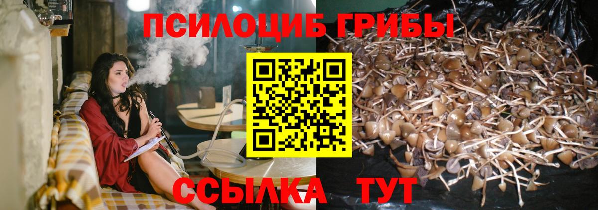 Галлюциногенные грибы мицелий  купить  цена  Моздок  Вход с VPN 