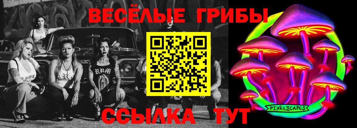 Галлюциногенные грибы мухоморы Моздок